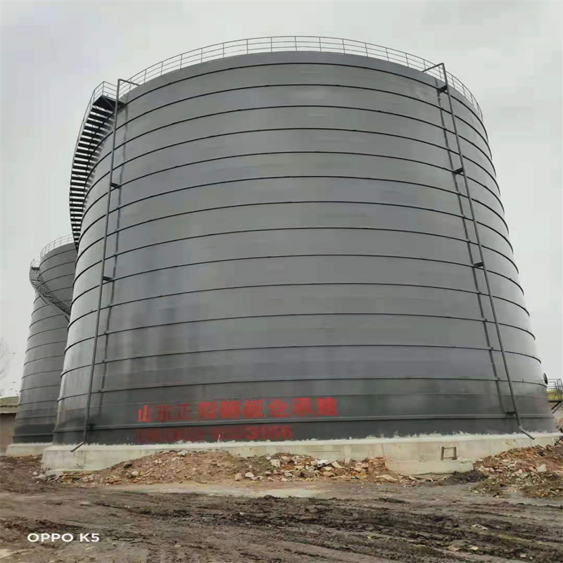 营山3万吨大型钢板库